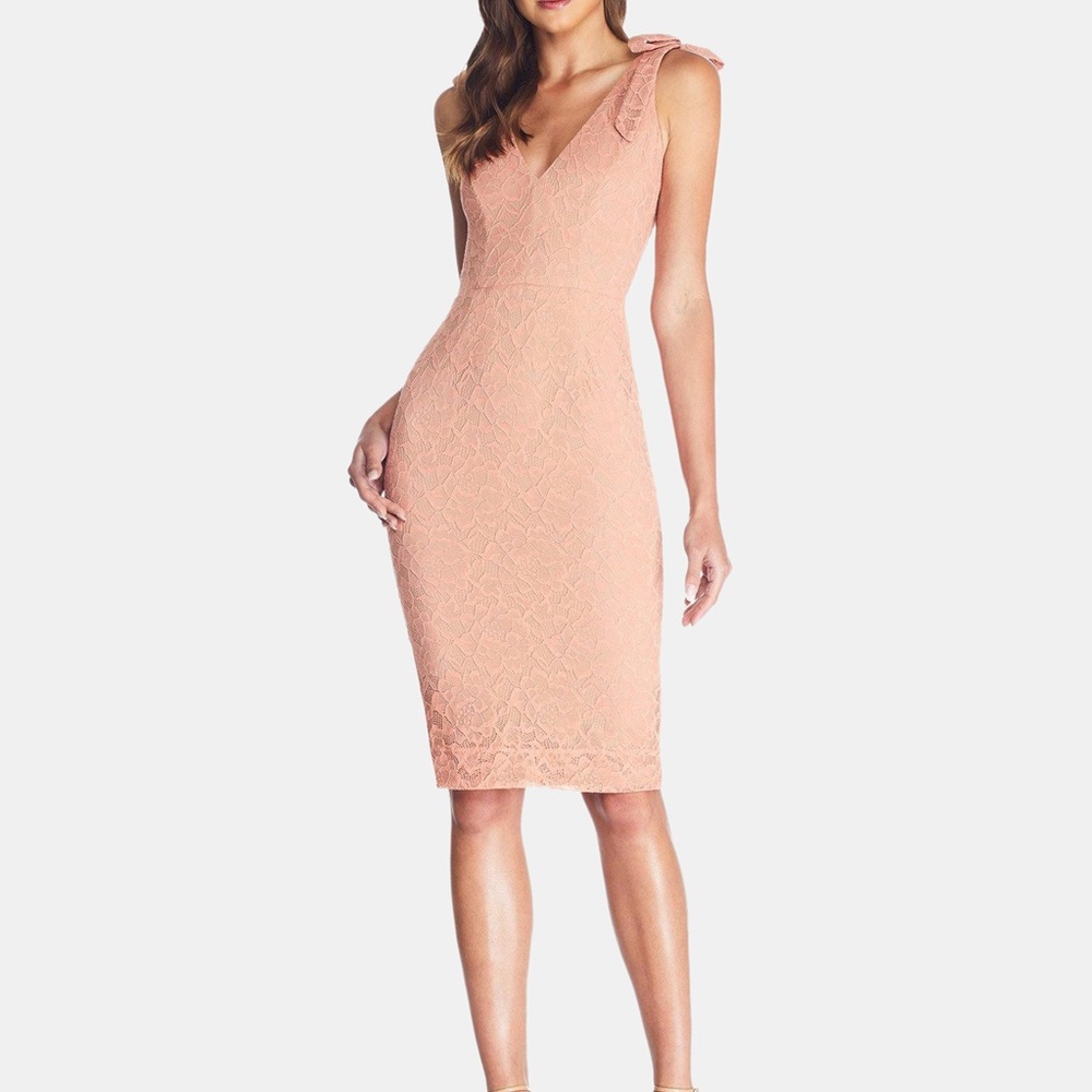 NWOT Dress the Population Mary dress
